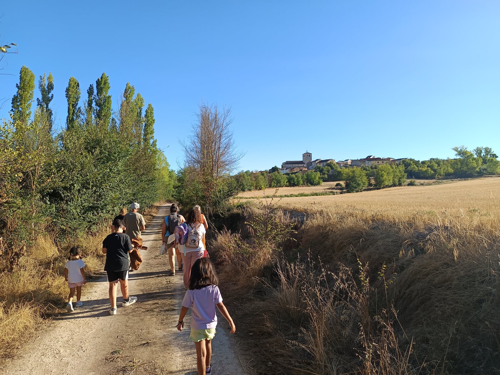 Paseo por el camino de Tabanera de Cerrato, con el pueblo al fondo entre campos de cereal.